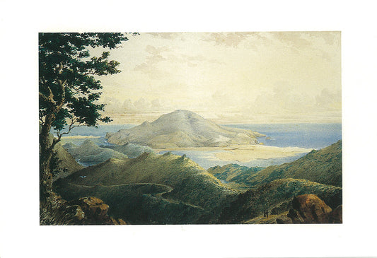 Mount Charles, Otago Peninsula from the Camp - Greeting card