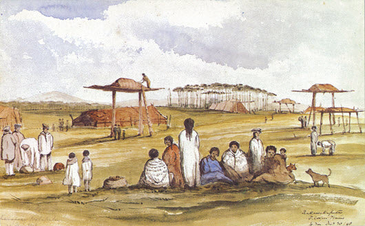 Rakawakaputa, Port Cooper Plains
